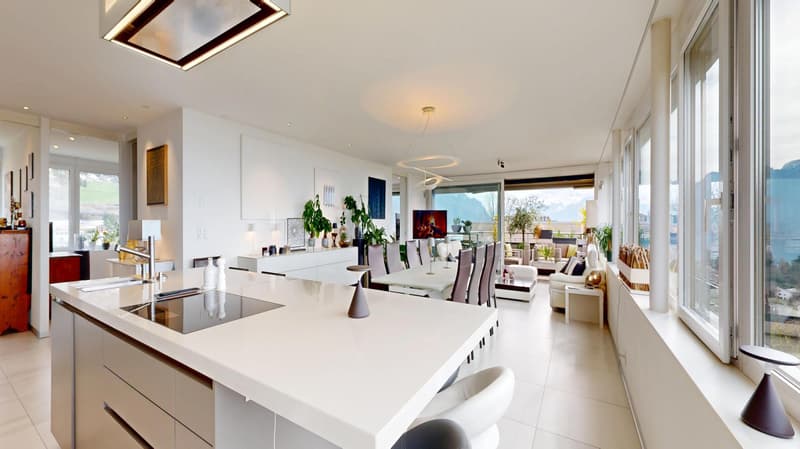Magnifique appartement en viager occupé sans rente limité à 5 ans (8)