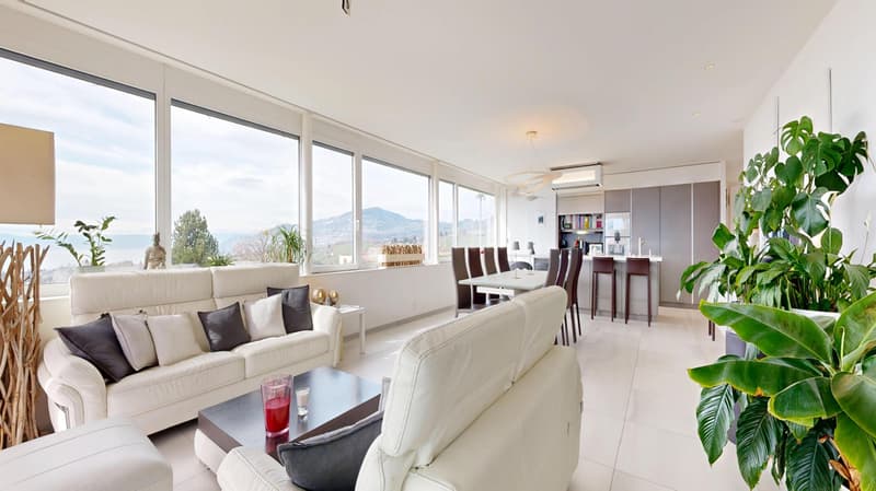Magnifique appartement en viager occupé sans rente limité à 5 ans (4)