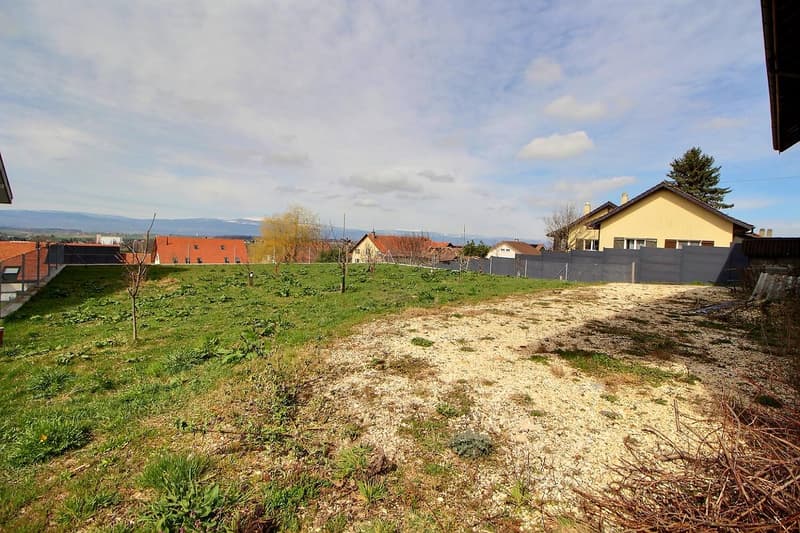 Grande maison en viager semi-occupé sans rente avec grand potentiel (2)