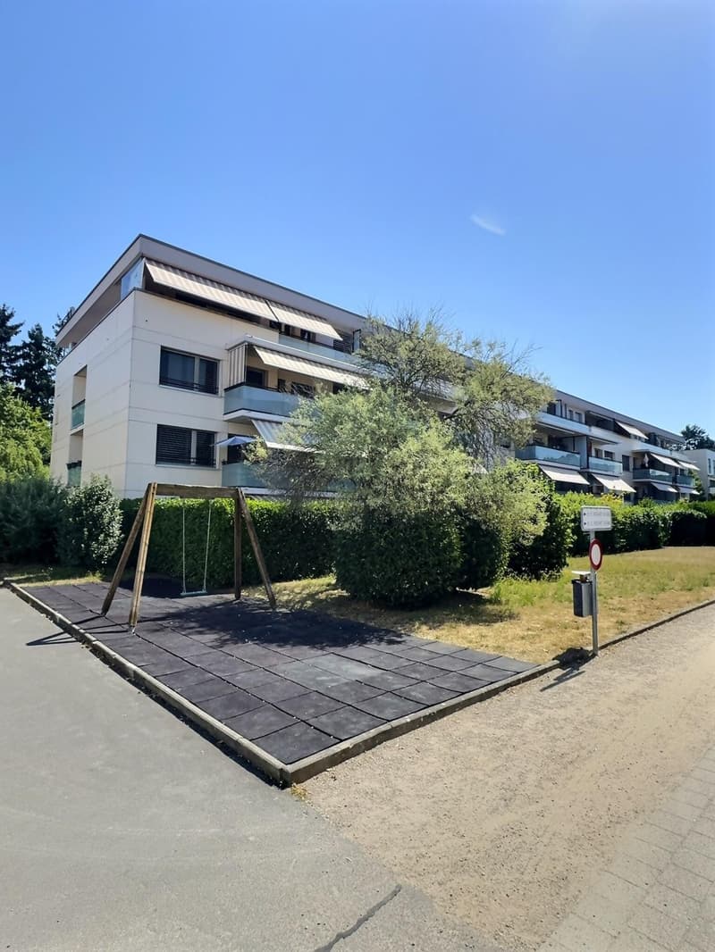 Magnifique attique en viager occupé sans rente (1)