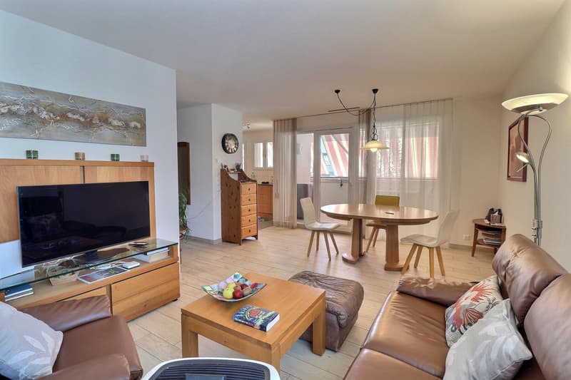 Magnifique attique en viager occupé sans rente (5)