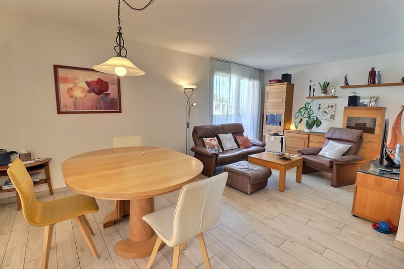 Magnifique attique en viager occupé sans rente (6)