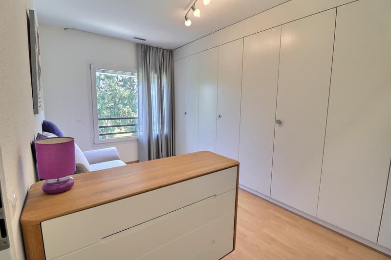 Magnifique attique en viager occupé sans rente (8)