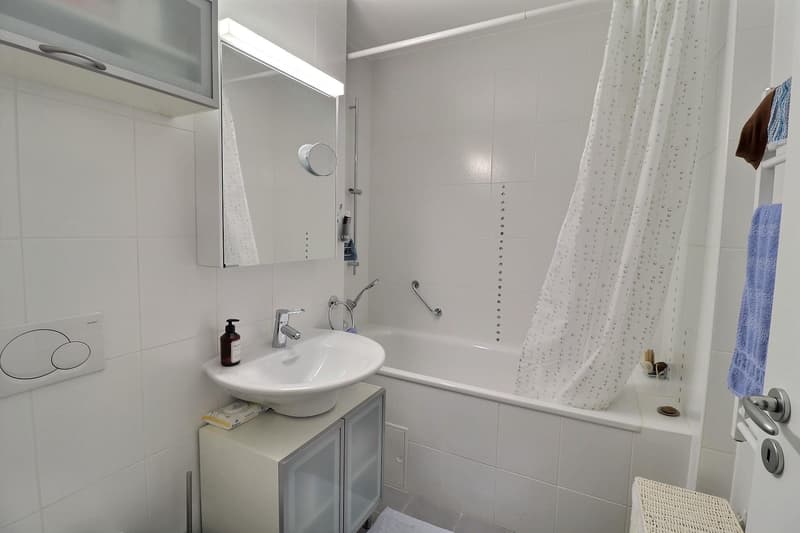 Magnifique attique en viager occupé sans rente (11)