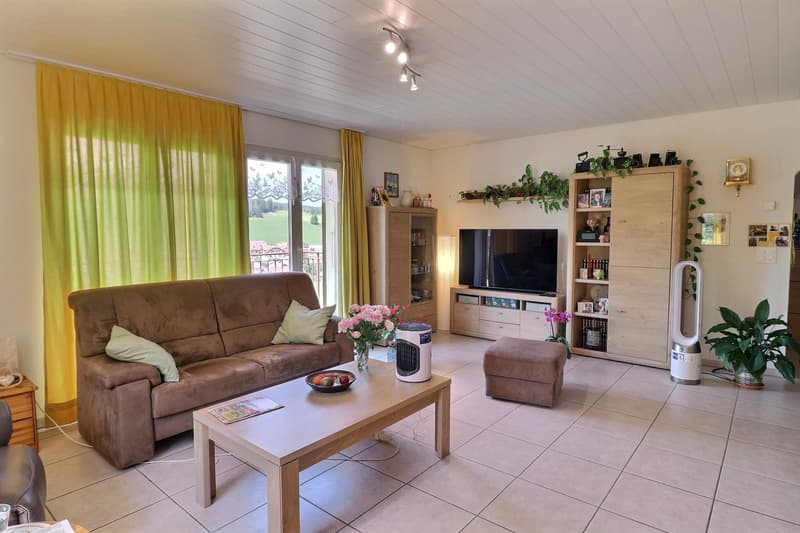 Jolie maison en viager occupé sans rente avec un grand terrain (10)