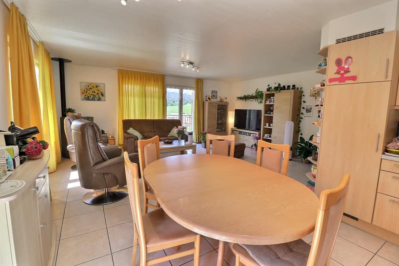 Jolie maison en viager occupé sans rente avec un grand terrain (9)