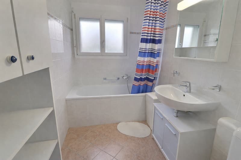 Belle et grande maison individuelle en viager occupé sans rente limité à 7 ans (11)