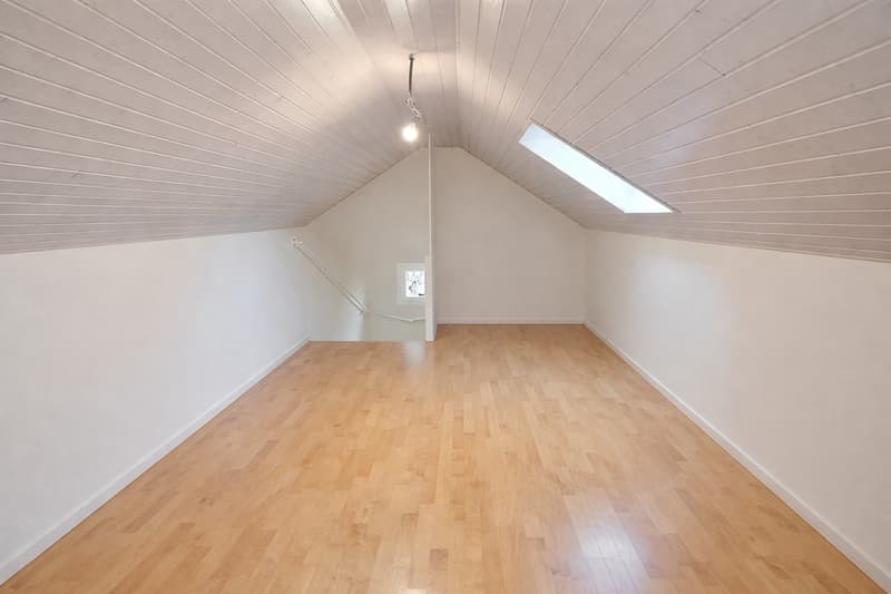 Belle et grande maison individuelle en viager occupé sans rente limité à 7 ans (12)