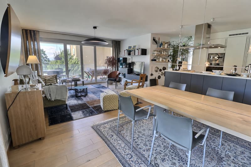 Très bel appartement en viager occupé sans rente avec piscine et vue lac (1)