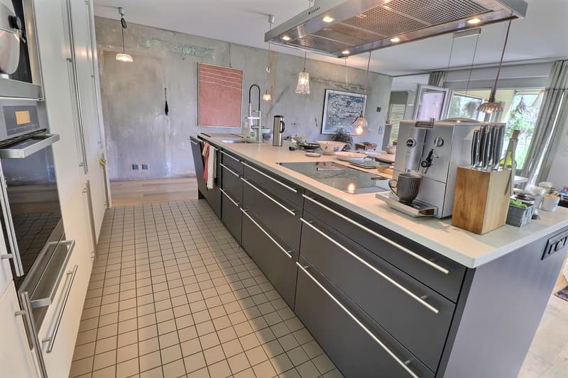 Très bel appartement en viager occupé sans rente avec piscine et vue lac (3)
