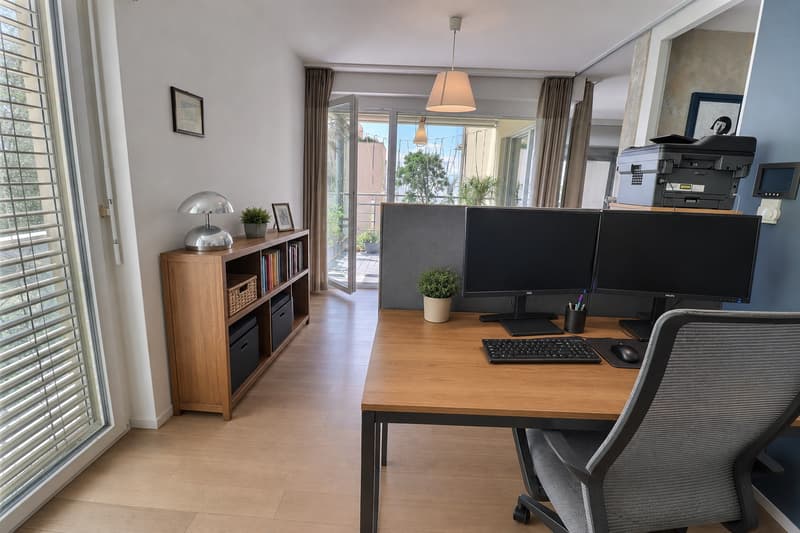 Très bel appartement en viager occupé sans rente avec piscine et vue lac (4)