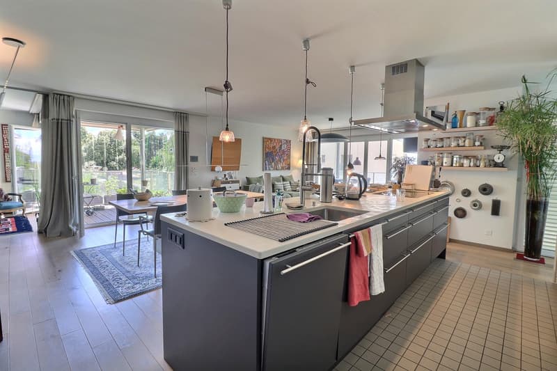 Très bel appartement en viager occupé sans rente avec piscine et vue lac (2)