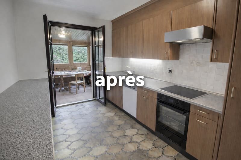 Très grande maison individuelle à Cugy en viager semi occupé sans rente (5)