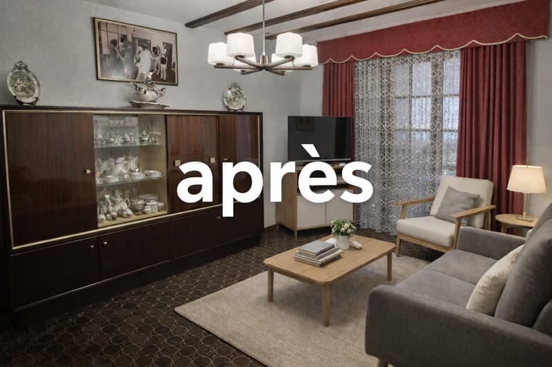 Très grande maison individuelle à Cugy en viager semi occupé sans rente (11)