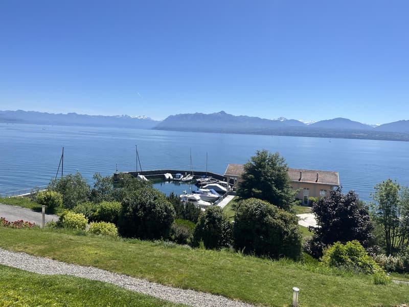 BIEN EXCEPTIONNEL!! Grand appartement en viager occupé sans rente. Vue Lac et Port privé. (13)