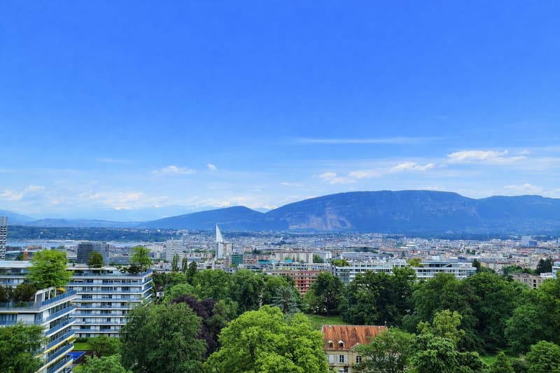 Superbe appartement en étage élevé avec piscine en viager occupé sans rente (3)