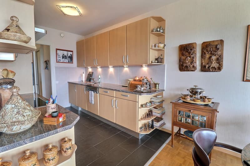 Superbe appartement en étage élevé avec piscine en viager occupé sans rente (7)