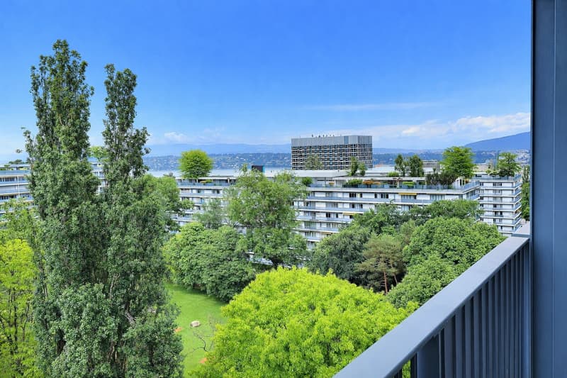 Superbe appartement en étage élevé avec piscine en viager occupé sans rente (1)