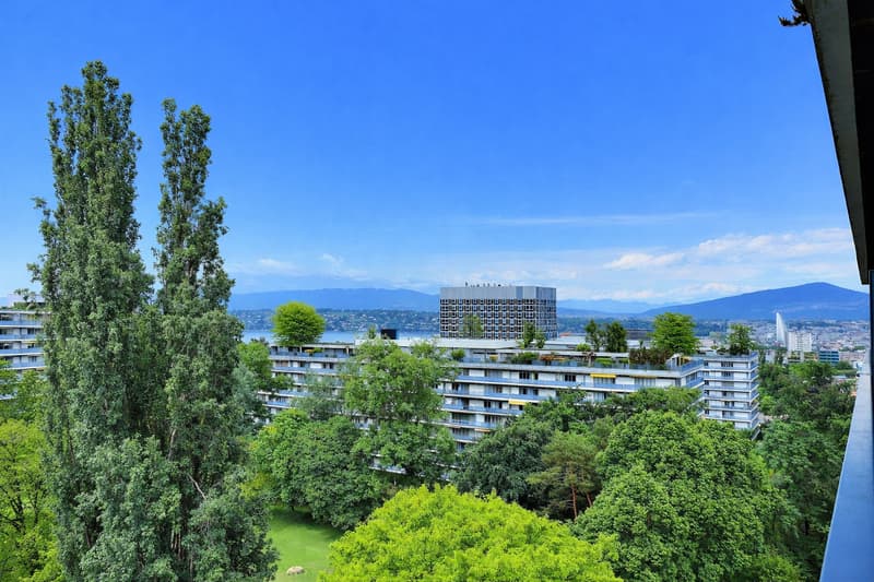 Superbe appartement en étage élevé avec piscine en viager occupé sans rente (2)