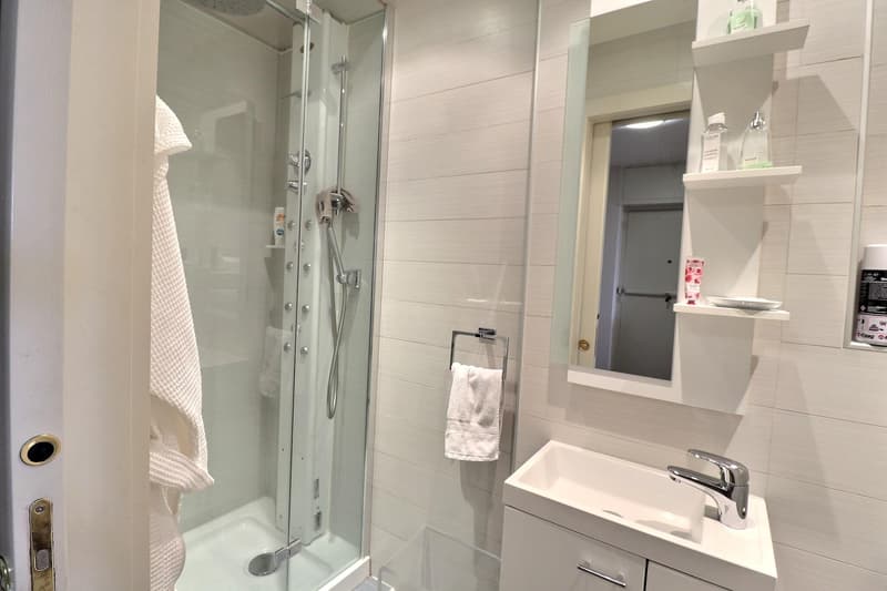 Superbe appartement en étage élevé avec piscine en viager occupé sans rente (11)