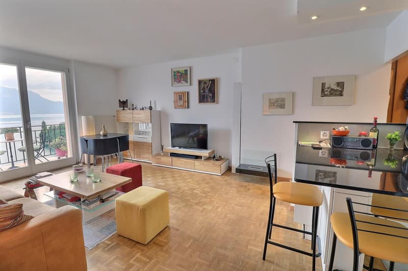 Superbe appartement en viager occupé sans rente Vue Exceptionnelle sur le Lac à Territet (VD) (4)