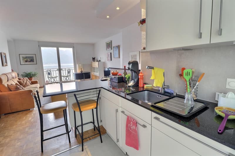 Superbe appartement en viager occupé sans rente Vue Exceptionnelle sur le Lac à Territet (VD) (3)