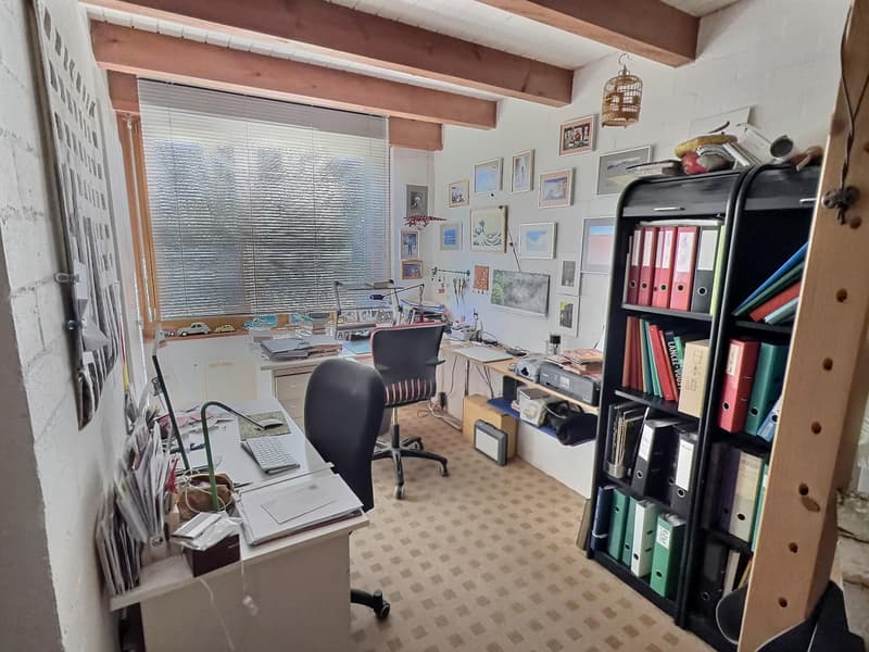 Maison d'architecte en viager occupé sans rente (12)