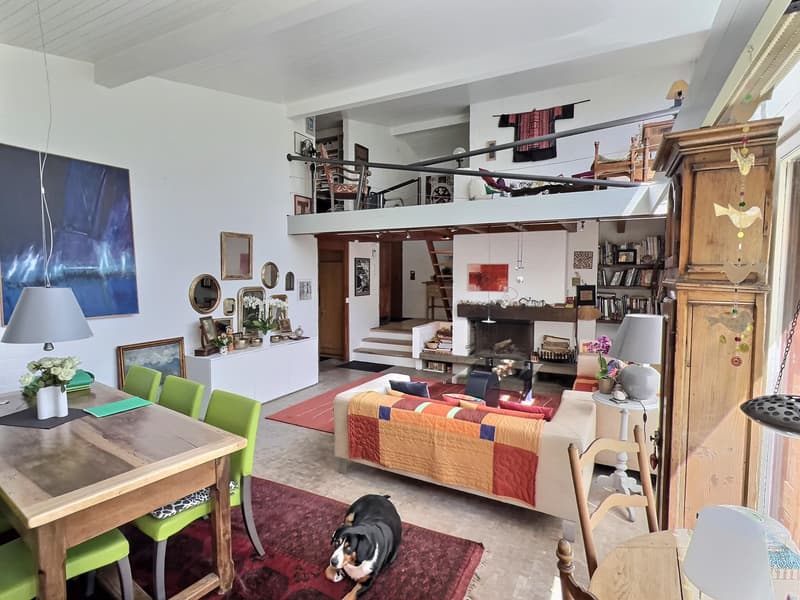 Maison d'architecte en viager occupé sans rente (7)