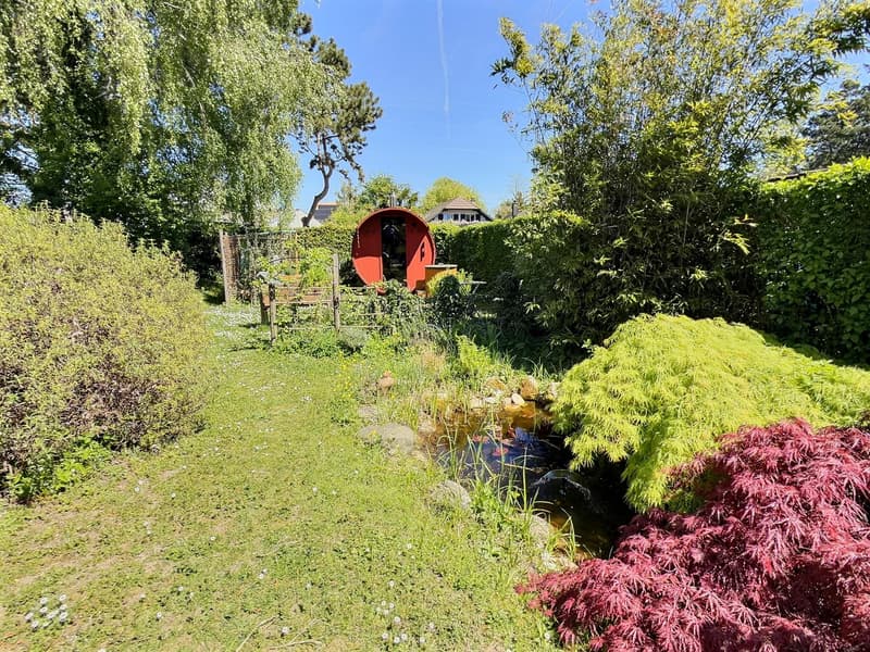 Maison d'architecte en viager occupé sans rente (4)