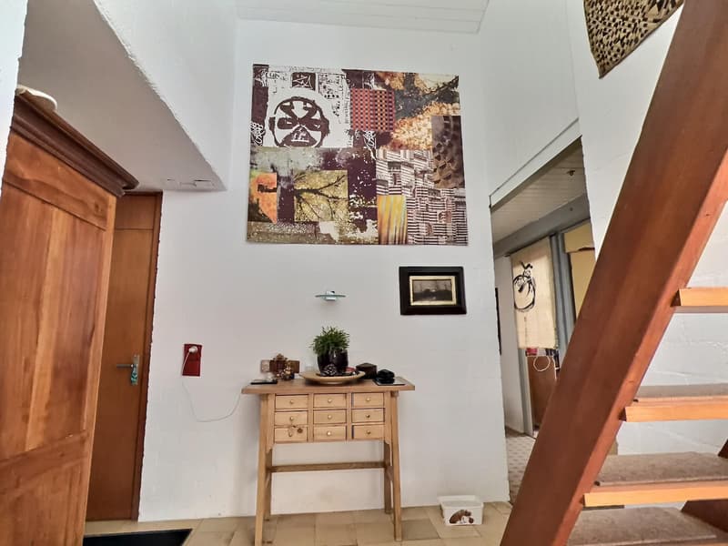 Maison d'architecte en viager occupé sans rente (9)