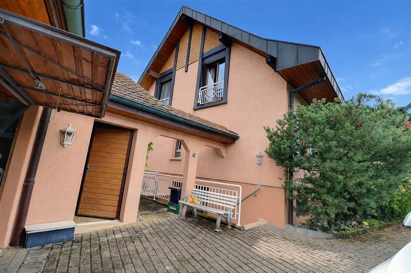 Très grande maison familiale en viager occupé sans rente (4)
