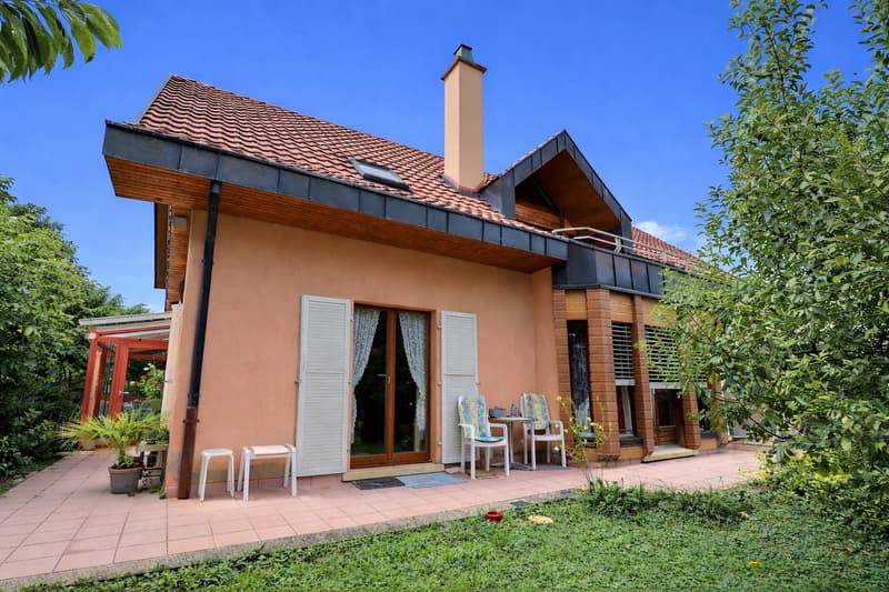Très grande maison familiale en viager occupé sans rente (2)