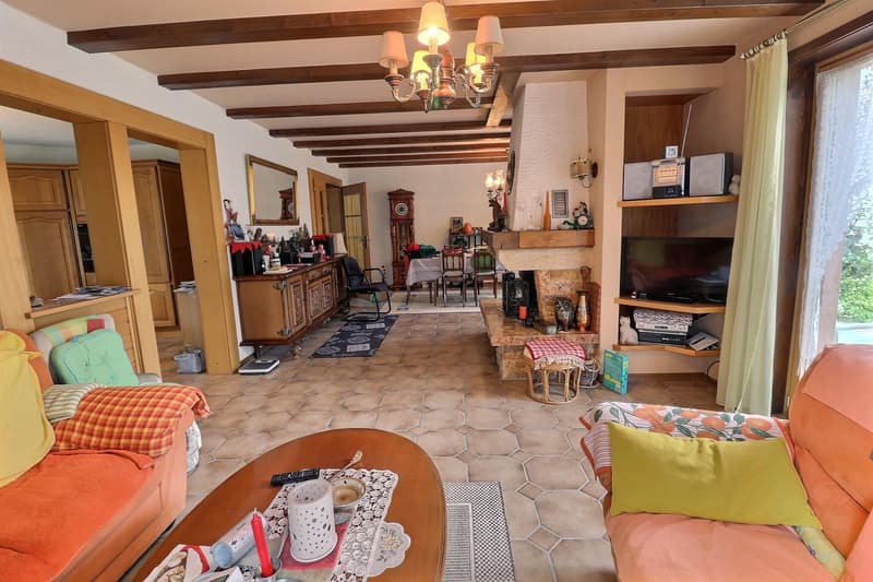 Très grande maison familiale en viager occupé sans rente (9)