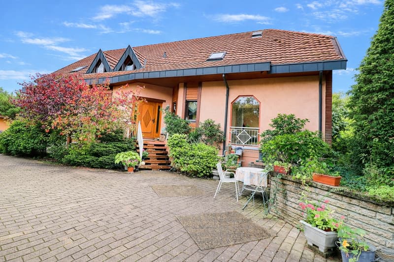 Très grande maison familiale en viager occupé sans rente (1)