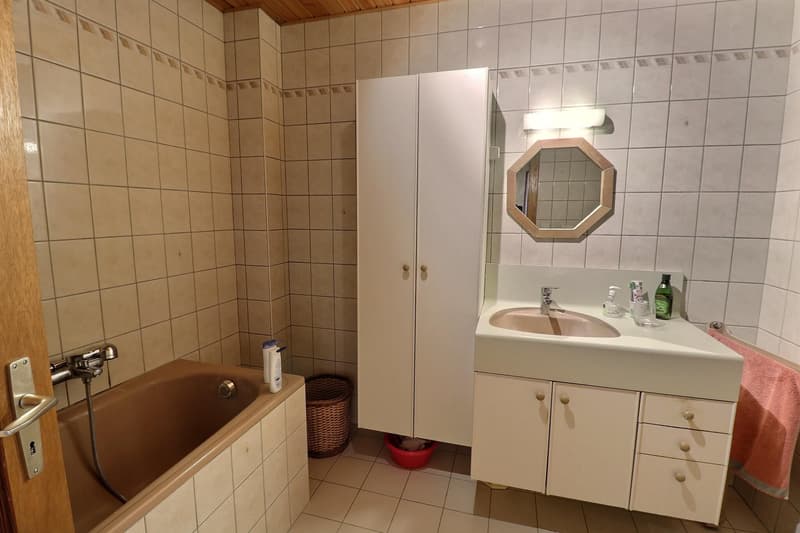 Jolie maison de village en viager occupé sans rente (11)