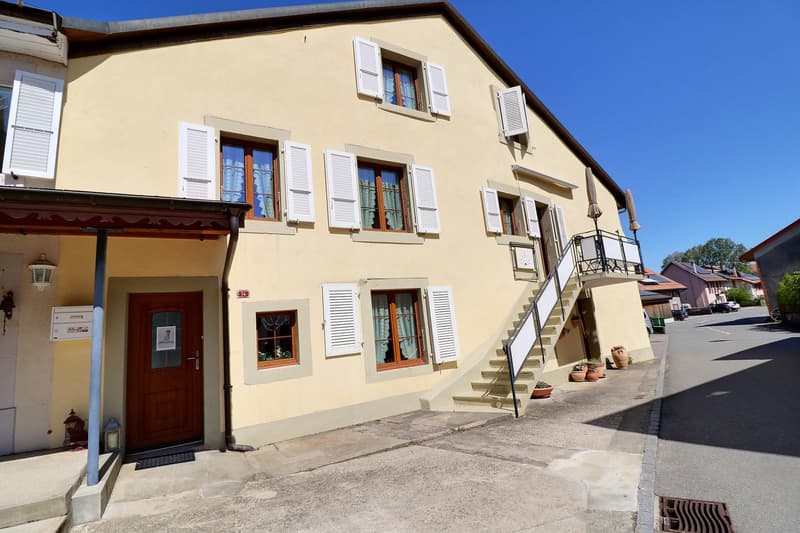 Jolie maison de village en viager occupé sans rente (1)