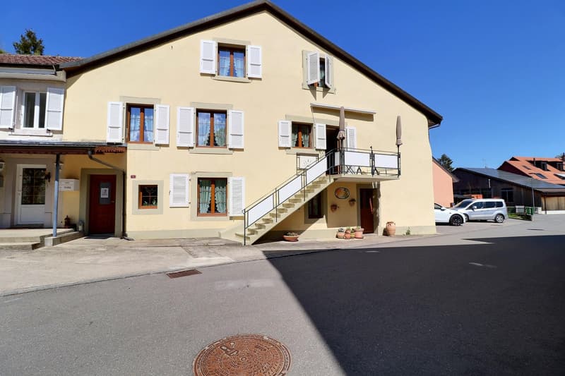 Jolie maison de village en viager occupé sans rente (2)