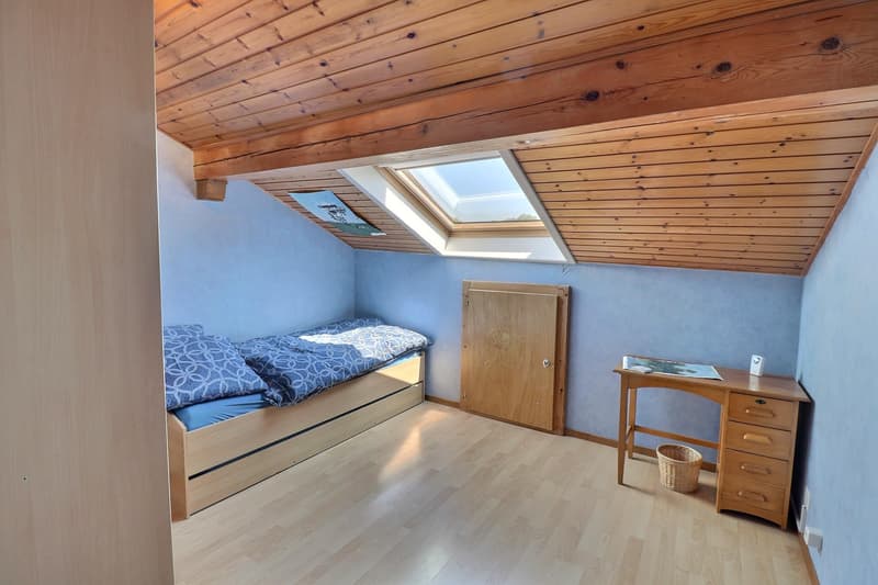 Jolie maison de village en viager occupé sans rente (10)