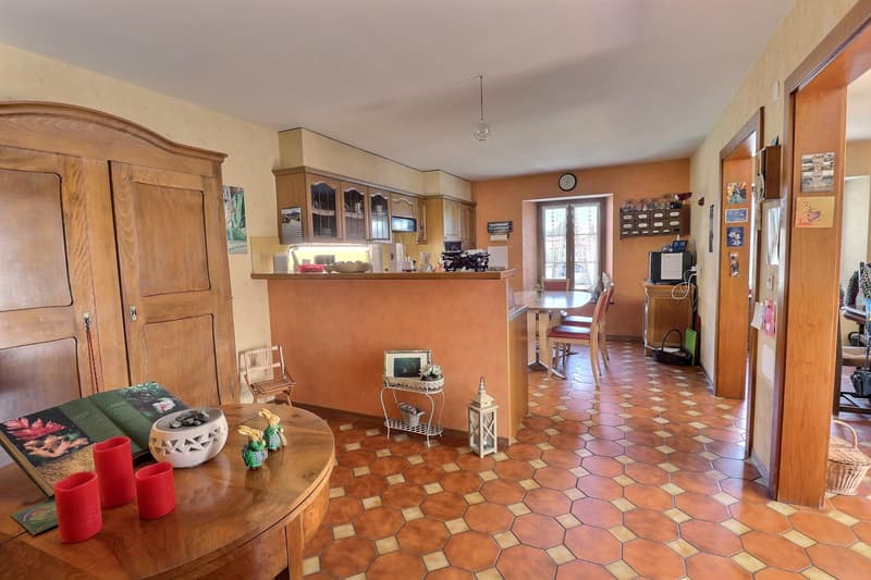 Jolie maison de village en viager occupé sans rente (6)