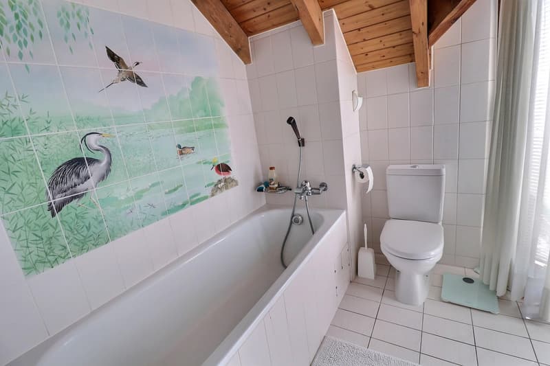Magnifique duplex en attique en viager occupé sans rente (11)
