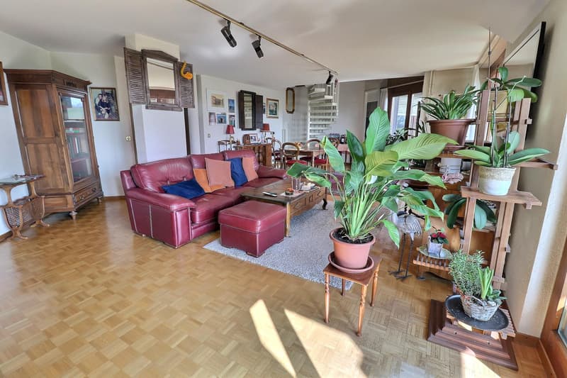 Magnifique duplex en attique en viager occupé sans rente (4)