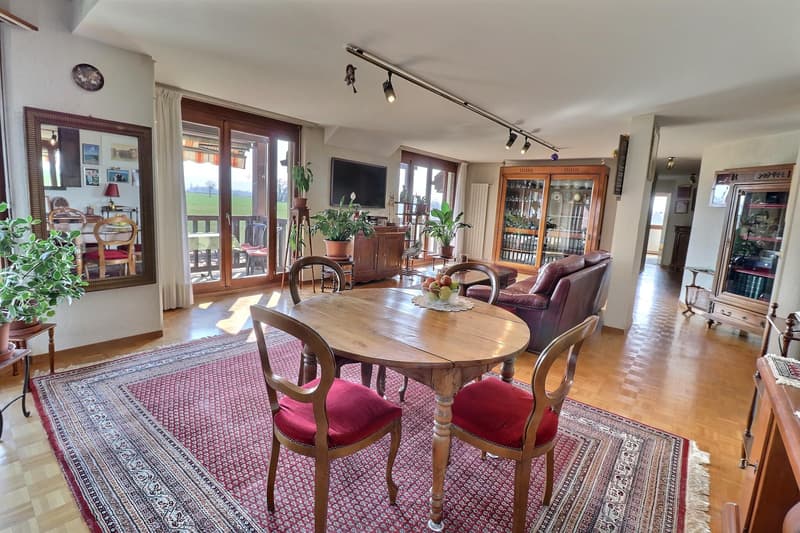 Magnifique duplex en attique en viager occupé sans rente (1)