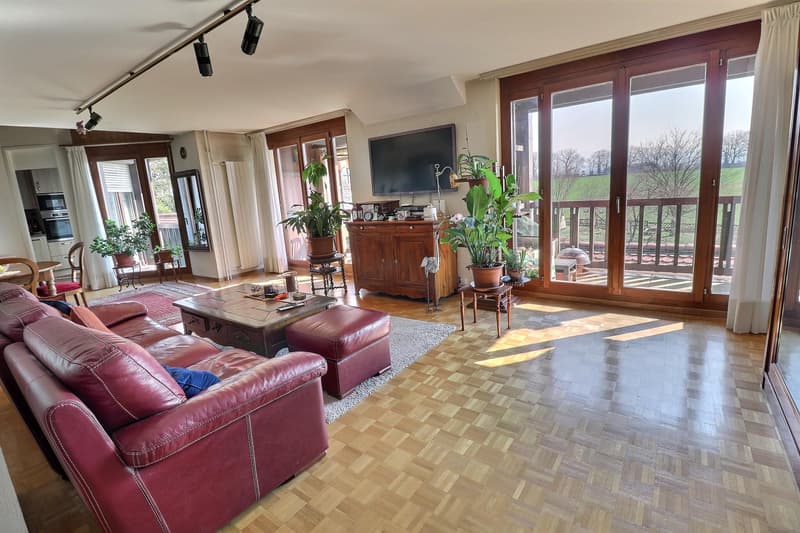Magnifique duplex en attique en viager occupé sans rente (3)