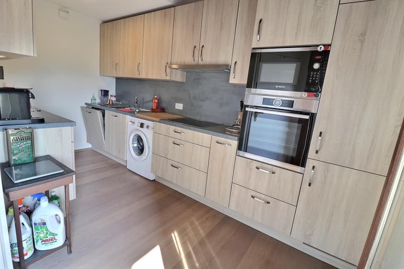 Magnifique duplex en attique en viager occupé sans rente (5)