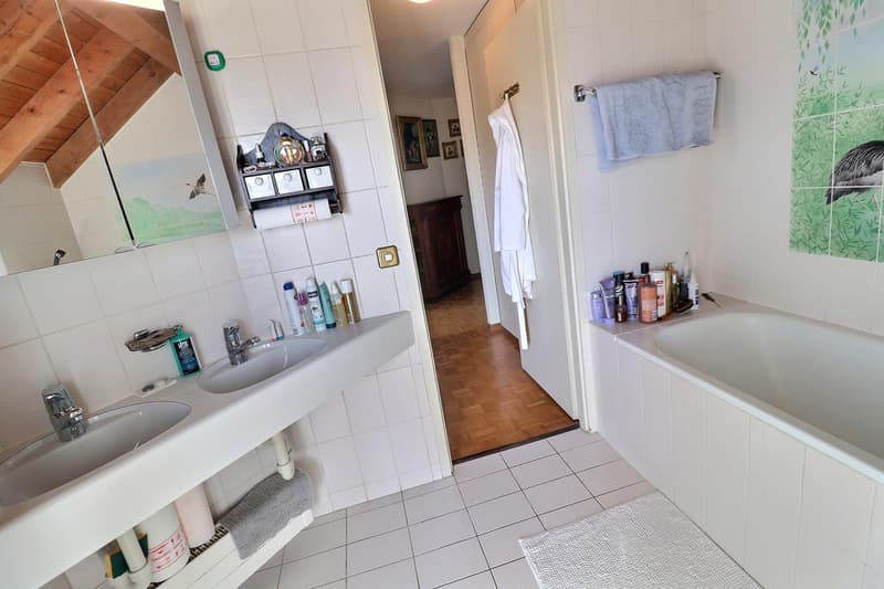 Magnifique duplex en attique en viager occupé sans rente (12)
