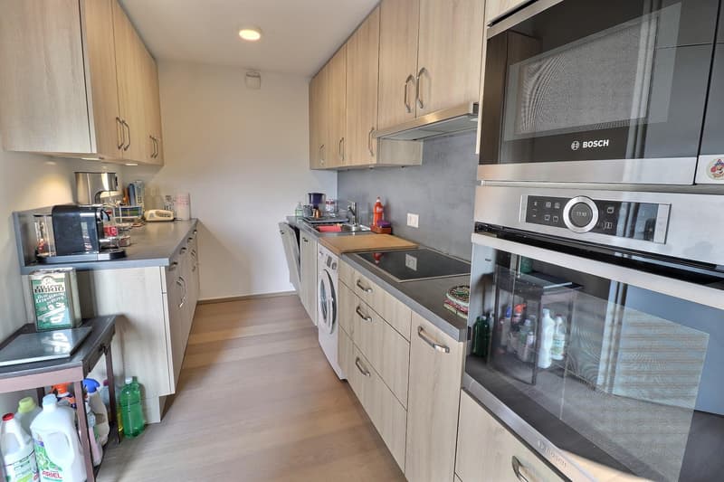 Magnifique duplex en attique en viager occupé sans rente (6)