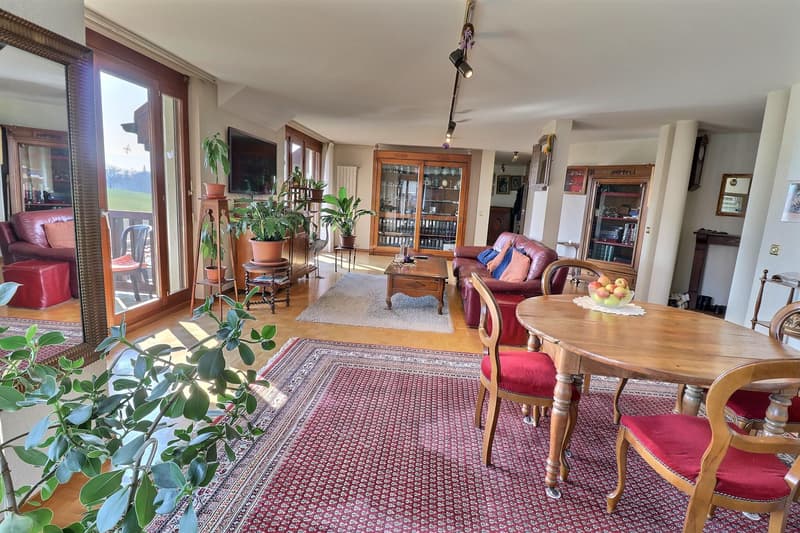 Magnifique duplex en attique en viager occupé sans rente (2)