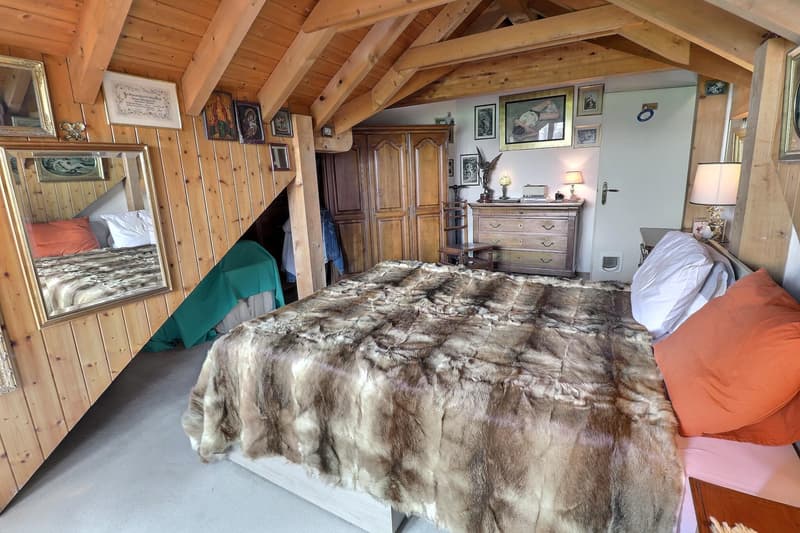 Magnifique duplex en attique en viager occupé sans rente (8)