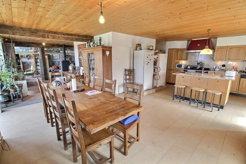 Grande maison en viager semi-occupé sans rente avec grand potentiel (7)