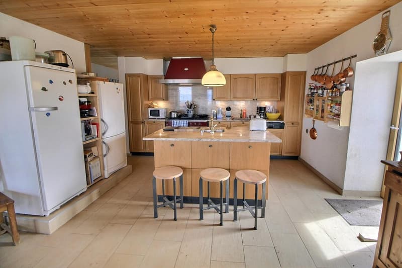 Grande maison en viager semi-occupé sans rente avec grand potentiel (9)